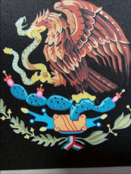 Men’s Mexico Flag Hoodie – Street Style Mexican Pride Pullover